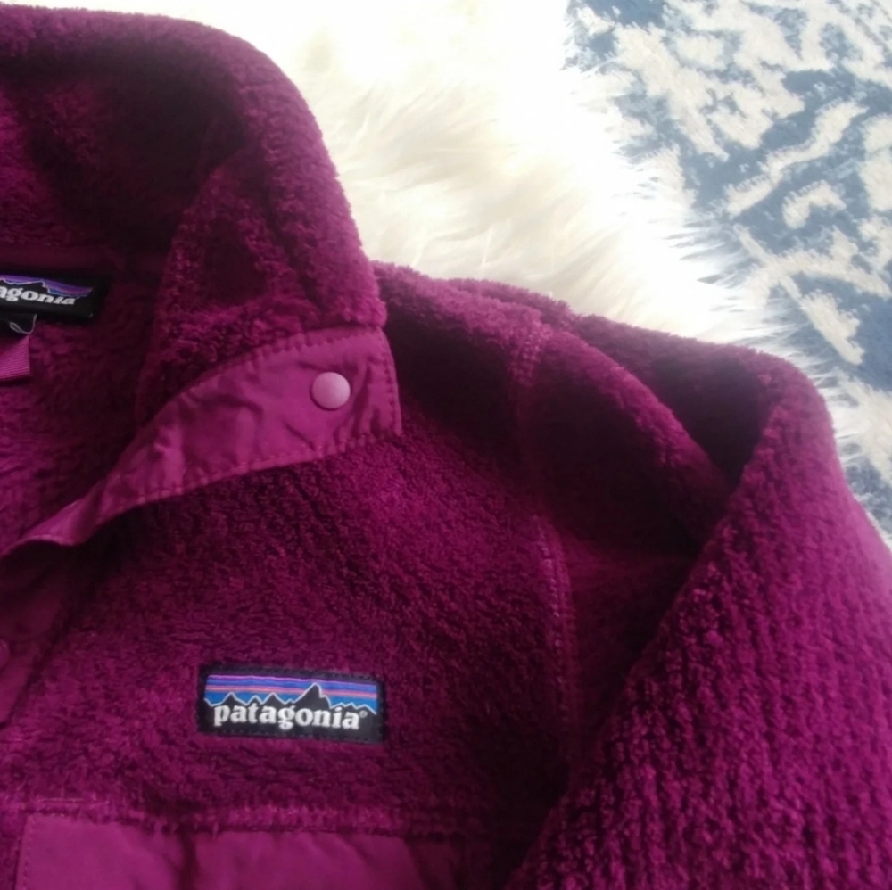 Patagonia Retool - Picture 3 of 4